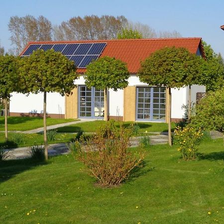 Apartamento Alte Hofwerkstatt Gaußig Exterior foto